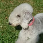 Tiny's Stern Sally - @tinys_stern_sally - Instagram