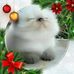 Sally Stickney - Facebook