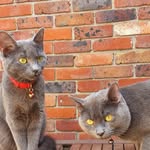 Sally & stormy - @sally_stormy21 - Instagram