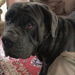 Sally Stover - Facebook