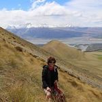 Sally Strang - @strangsally - Instagram
