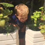 Sally Straub - @straub8465 - Instagram