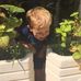 Sally Straub - Facebook