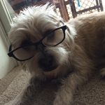 Sally Stringer - @sallystringer123 - Instagram