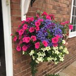 Sally Stringer - @stringer_sally - Instagram