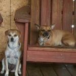 Sally Stringer Bradley - @sally.bradley.9451 - Instagram