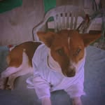 Sally Suarez - @sallysuarez727 - Instagram