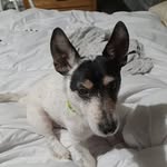 Sally Sumner - @sallysumner17 - Instagram
