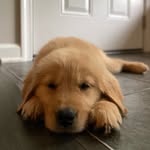 Sally - @sundays_with_sally - Instagram