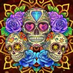 Sally Sutherland - @ssutherland622 - Instagram