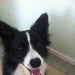 Sally Sutherland - @saffysutherland - Instagram
