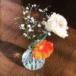 Sally Suzuki - @salut117 - Instagram