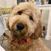 Sally Laramore Swenson - Facebook