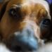 Sally Swenson - Facebook