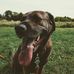 Sally Swenson - Facebook