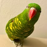 Sally Szeto - @salszeto368 - Instagram