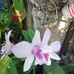 Sally Tabor - Facebook