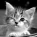 Sally Talbot - Facebook