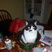 Sally Talbot - Facebook