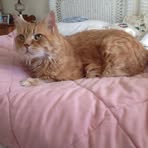 Sally Talbott - Facebook