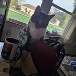 Sallyann Talbott - @sallyanntalbott - Instagram