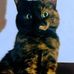 Sally Thatcher - Facebook