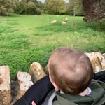 Sally Thorne - @arlo_and_mummie - Instagram