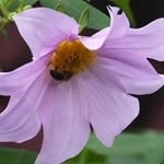 Sally Thorne - @sally.thorne.733 - Instagram