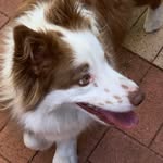 Sally Towner - @towner.sally - Instagram