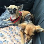 Sally Townsend - @sallytownsend50 - Instagram