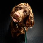 Sally Townsend - @sally_townsend_adventures - Instagram