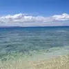 sallyjtownsend - @sallyjtownsend - TikTok