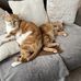 Salleigh Trotter - Facebook