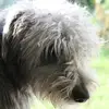 Sally Tully - @sally.tully - TikTok