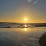 The Sally Tully Gallery - @sallytullygallery - Instagram