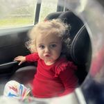 Sally Turner - @ponyhorseshetlendslove65 - Instagram