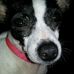 Sally Tyson - Facebook