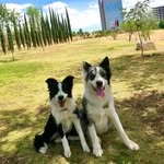 Tyson y Sally - @tysonysally - Instagram