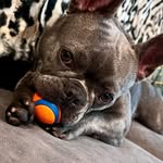 Cleo Patra - @sally.valley.5074 - Instagram