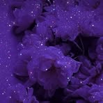 Valery Sally - Facebook