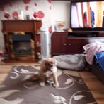 Sally Varney - Facebook