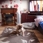 Sally Varney - @terry.varney.547 - Instagram
