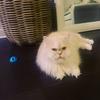 Sally Brown Murillo Velez - @sallybrownv - TikTok
