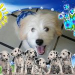 Sally Unuco Vento - @sallyunucovento - Instagram