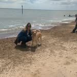 Sally - @sallyvickers1 - Instagram