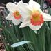 Sally Vogt - Facebook