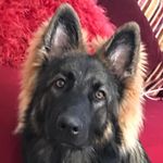 Sally Wade - @truthseeker_70 - Instagram