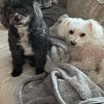 Sally Wade - @sallywade819 - Instagram