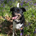 Sally Wade - @sallywade207 - Instagram