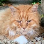 Sally Wainwright - @s2ll7w24nwr4ght - Instagram